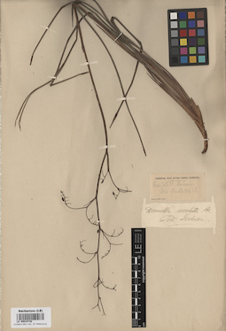 LE 00010748