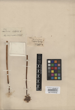 LE 00010812
