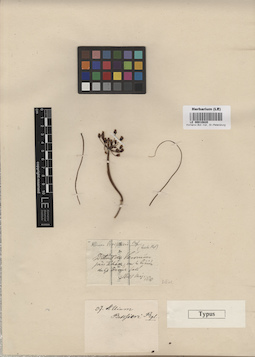 LE 00010820