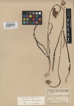 LE 00010832