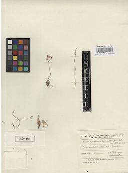 LE 00010837