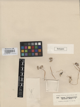 LE 00010838