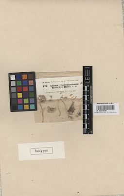 LE 00010839
