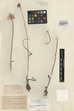 LE 00010841