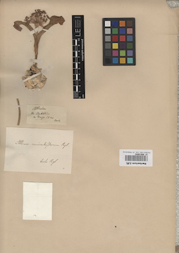 LE 00010842