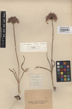 LE 00010847