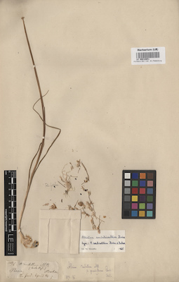 LE 00010851