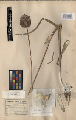 LE 00010857