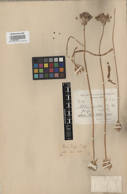 LE 00010863