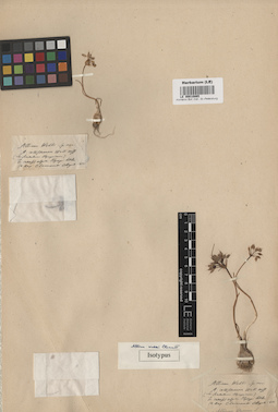 LE 00010865