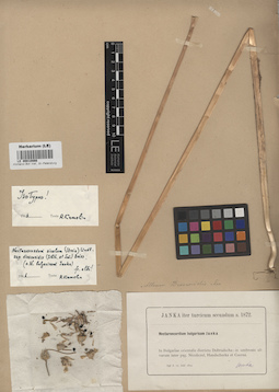 LE 00010866