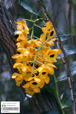 LE 01088612