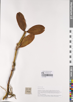 LE 01075298