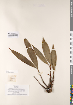 LE 01075337