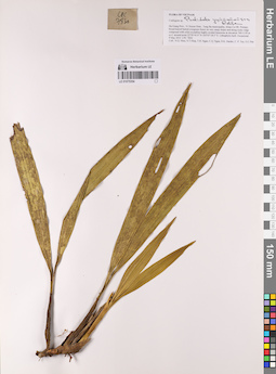 LE 01075354
