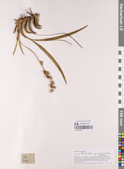 LE 01075355