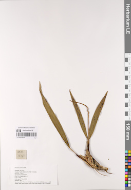 LE 01075514