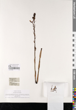 LE 01075606
