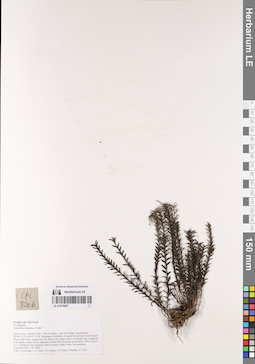 LE 01075607