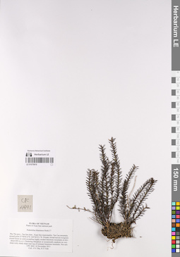 LE 01075616