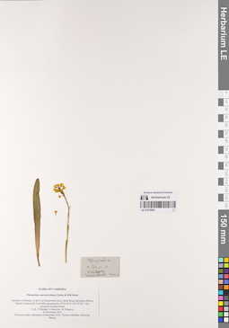 LE 01075695