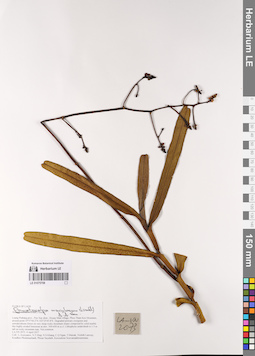 LE 01075708