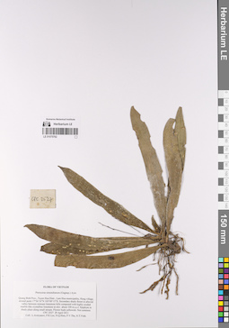 LE 01075762
