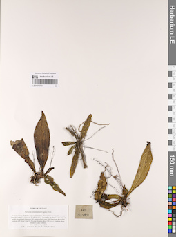 LE 01075773