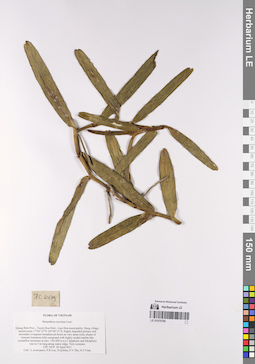 LE 01075785