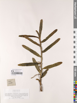 LE 01075790
