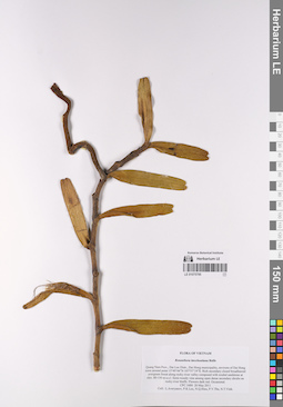 LE 01075795