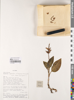 LE 01075828
