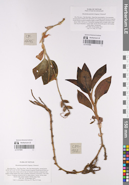 LE 01075860