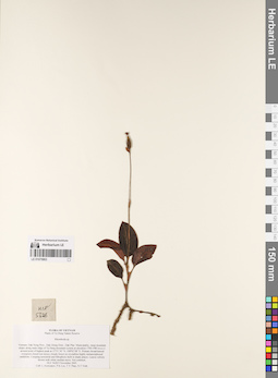 LE 01075863