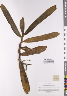 LE 01075876