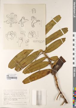 LE 01075889