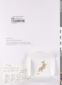 LE 01075890