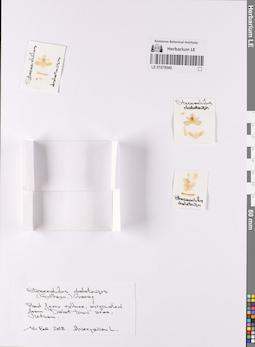 LE 01076040