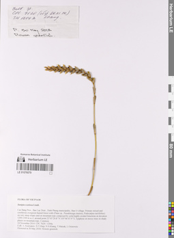 LE 01076079
