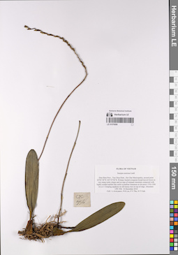 LE 01076086