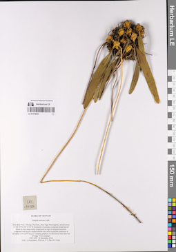 LE 01076093