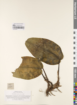 LE 01076147