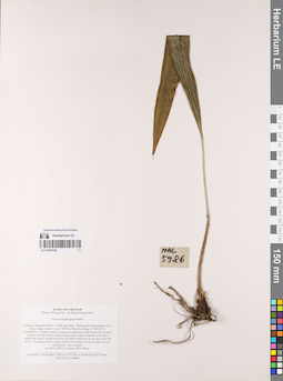 LE 01076150