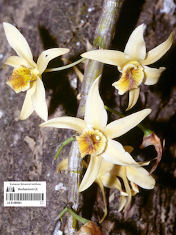 LE 01088663
