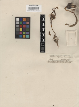 LE 00010883