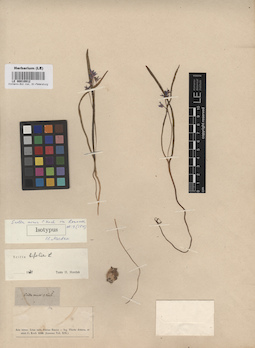 LE 00010912