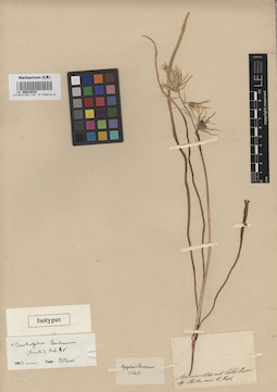 LE 00010935