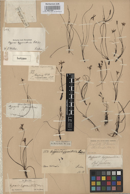 LE 00011020