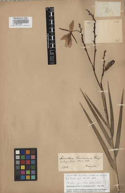 LE 00011166