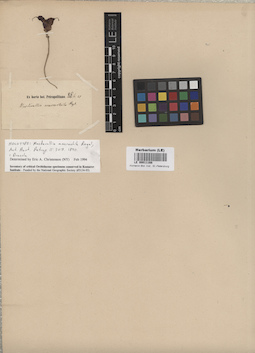 LE 00011168